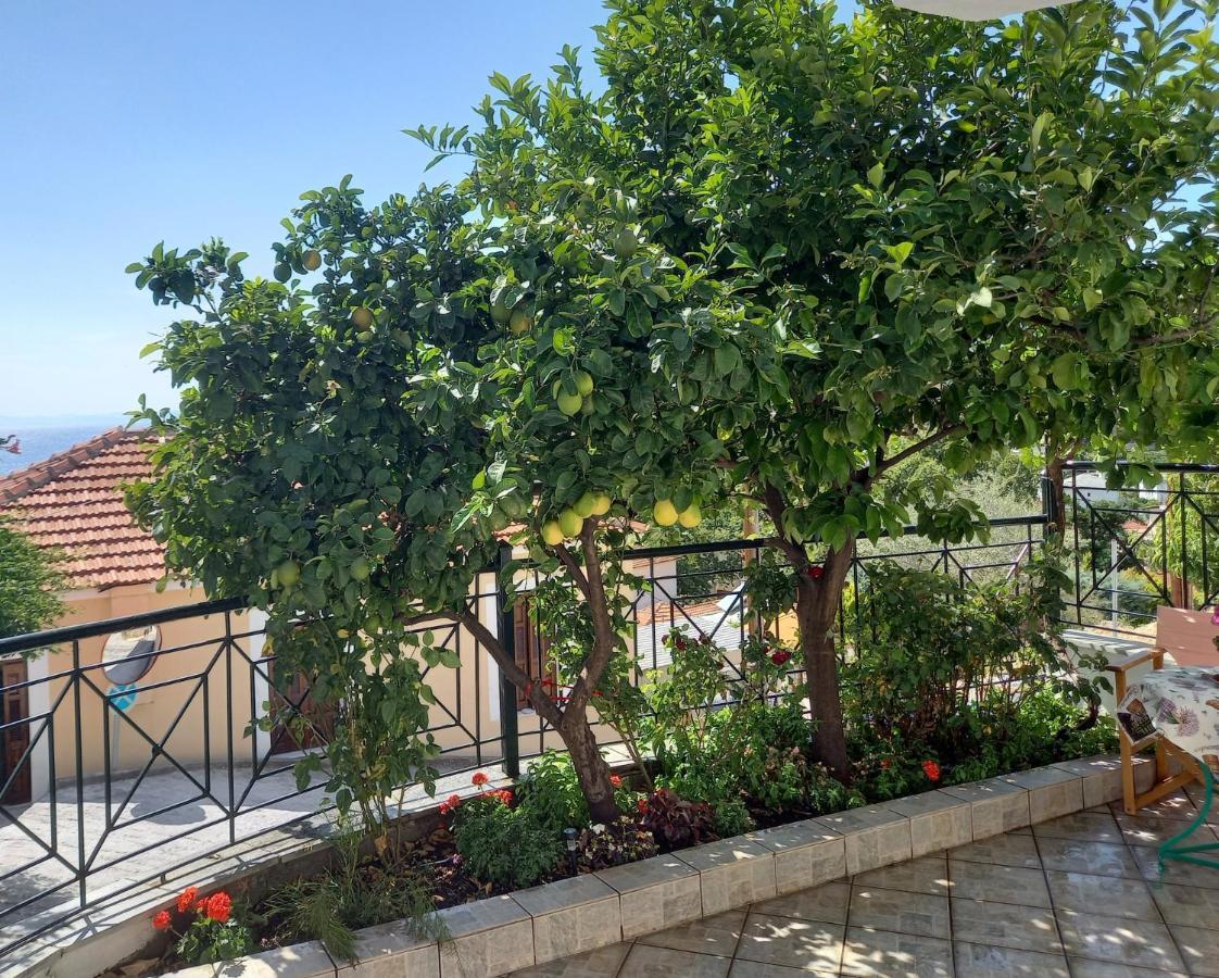 Πηλιο- Το Εξοχικο Τησ Αννασ- Αφησσοσ Villa Afissos Exterior photo