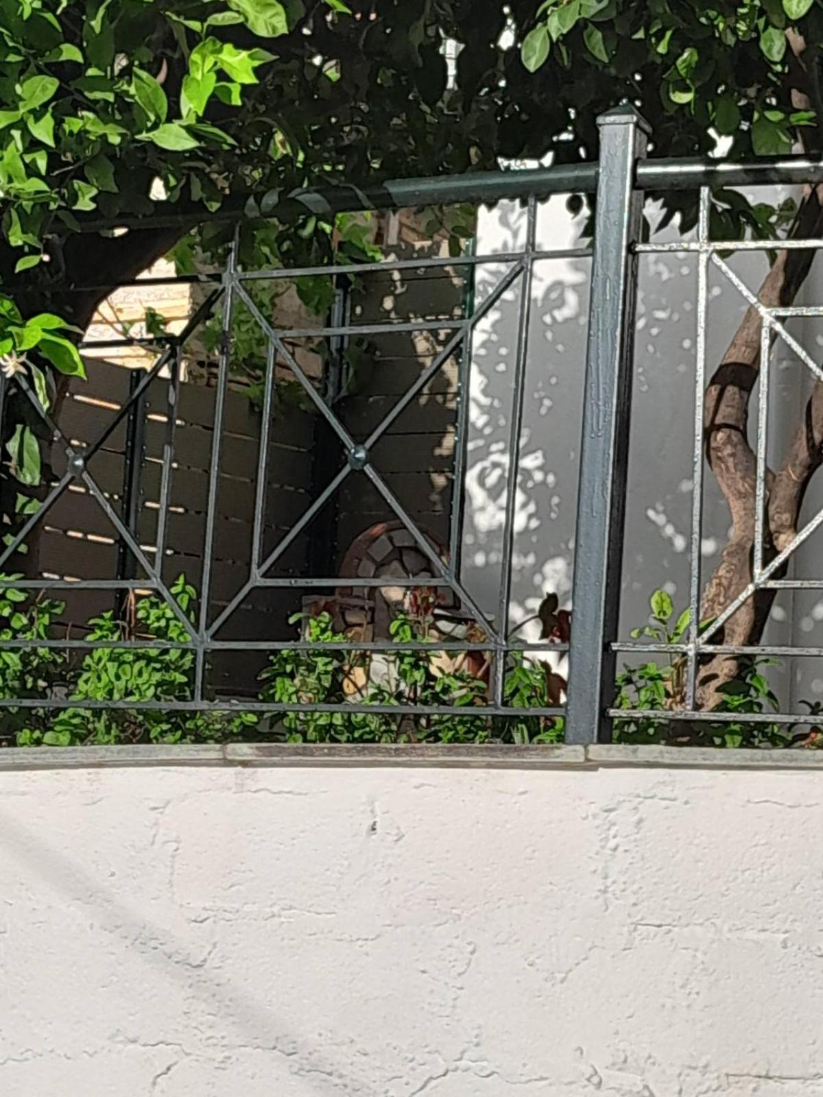 Πηλιο- Το Εξοχικο Τησ Αννασ- Αφησσοσ Villa Afissos Exterior photo